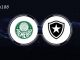 Soi kèo Palmeiras vs Botafogo RJ, 23h00 ngày 28/06