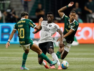 Nhận định kèo xiên 02/06 Cruzeiro vs Palmeiras, VĐQG Brazil
