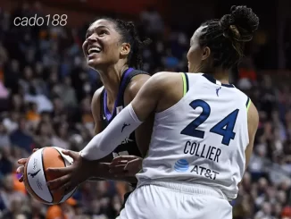 Soi kèo bóng rổ WNBA Connecticut Sun vs Minnesota Lynx 31_8