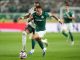Soi kèo xiên ngày 08/08 Palmeiras vs Ceara, VĐQG Brazil