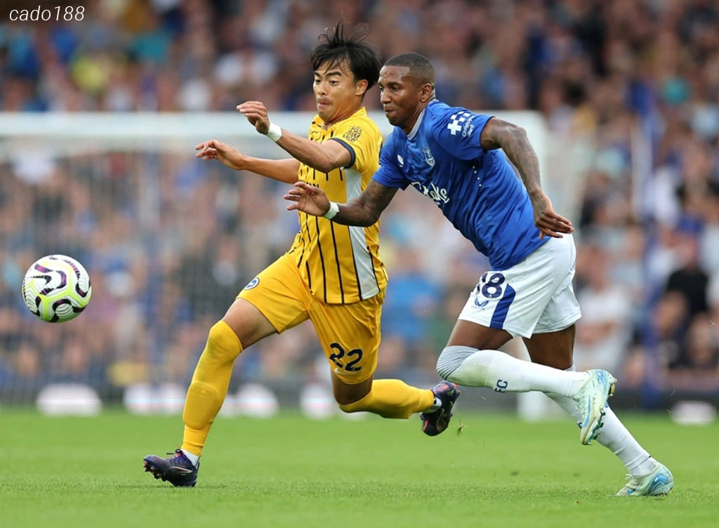 Nhận định kèo xiên ngày 24/08 Everton vs Brighton, EPL