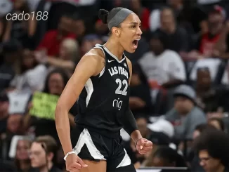 Soi kèo bóng rổ WNBA Indiana Fever vs Las Vegas Aces 29-9