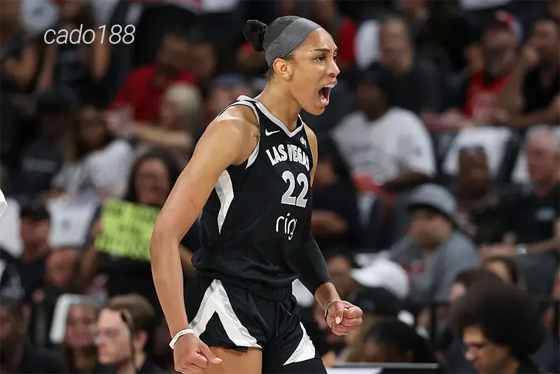 Soi kèo bóng rổ WNBA Indiana Fever vs Las Vegas Aces 29-9