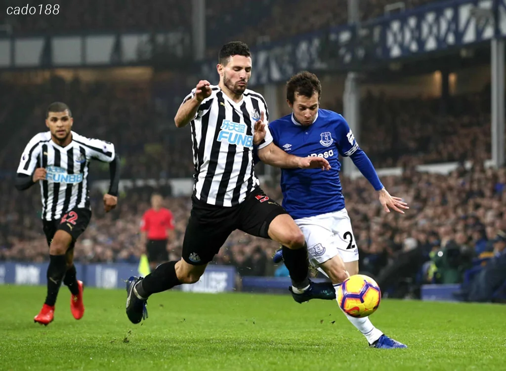 Soi kèo xiên ngày 01/10 St Gilloise vs Newcastle, Champions League