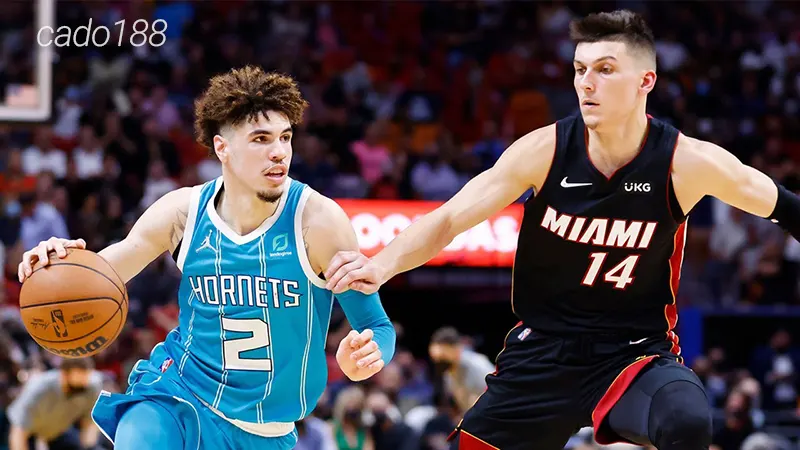Miami Heat liên tiếp mang đến những trận đấu thăng hoa nằm ngoài mong đợi của người hâm mộ Soi kèo bóng rổ NBA Miami Heat vs Charlotte Hornets 29_10