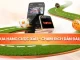 đua hạng cược xâu taptap 188bet