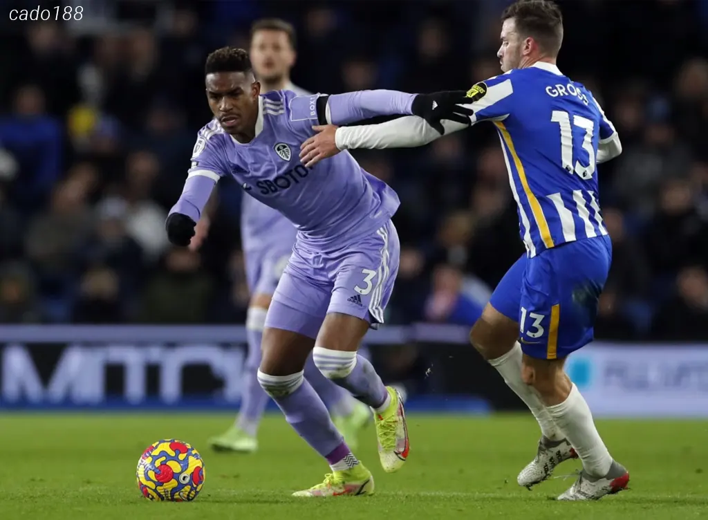 Soi kèo Brighton vs Leeds United, 22h00 ngày 01/11 Soi kèo Brighton vs Leeds United, 22h00 ngày 01/11