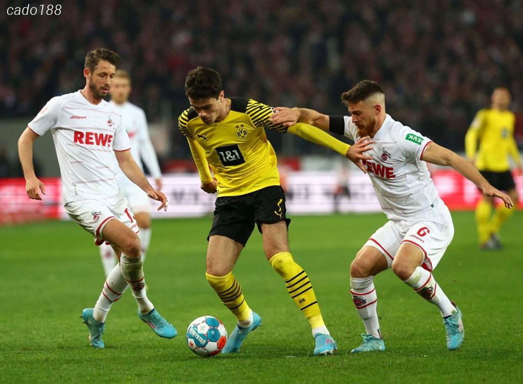 Nhận định kèo xiên ngày 25/10 Dortmund vs Koln, Bundesliga Nhận định kèo xiên ngày 25/10 Dortmund vs Koln, Bundesliga